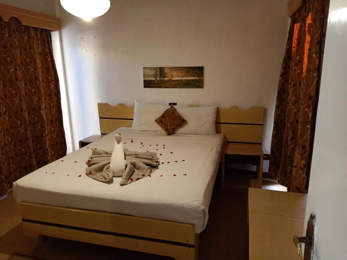 Aida Beach Hotel - 阿莱曼 外观 照片