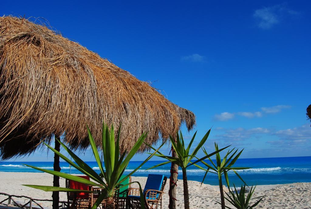 Aida Beach Hotel - 阿莱曼 外观 照片