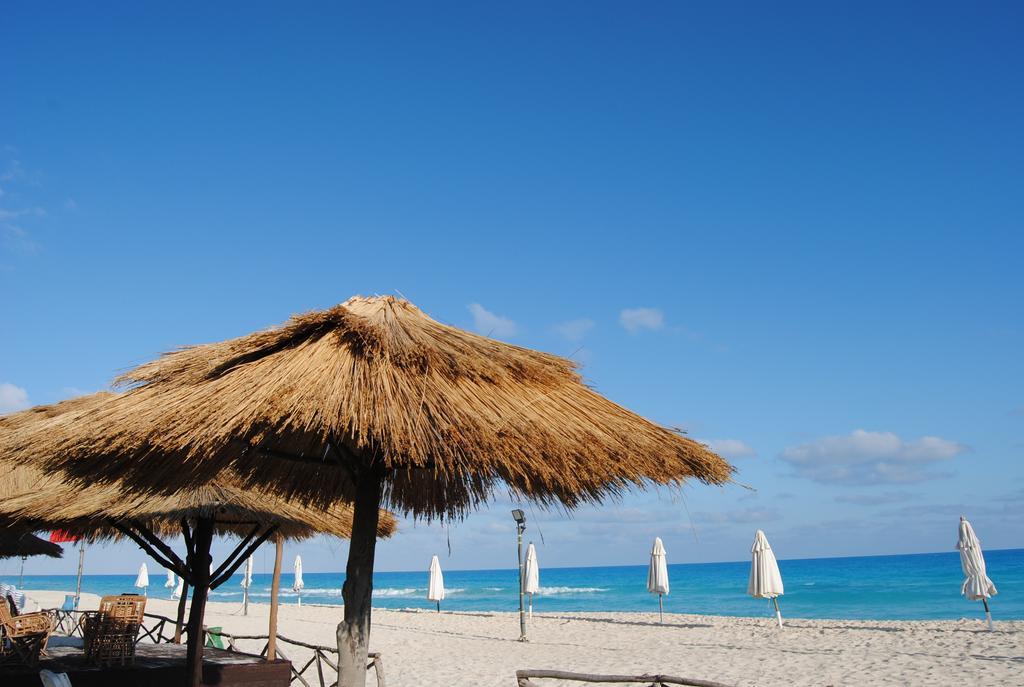 Aida Beach Hotel - 阿莱曼 外观 照片