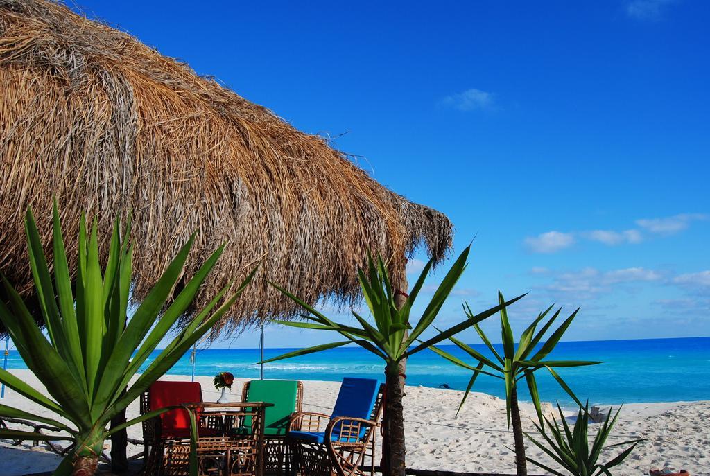 Aida Beach Hotel - 阿莱曼 外观 照片